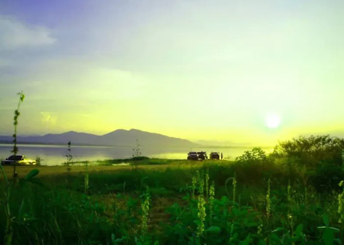 Scene